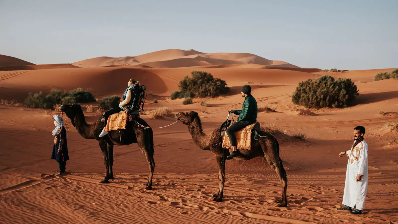 Unleash Your Inner Explorer: Camel Treks, Sandboarding, and Starlit Serenity in Morocco’s Sahara