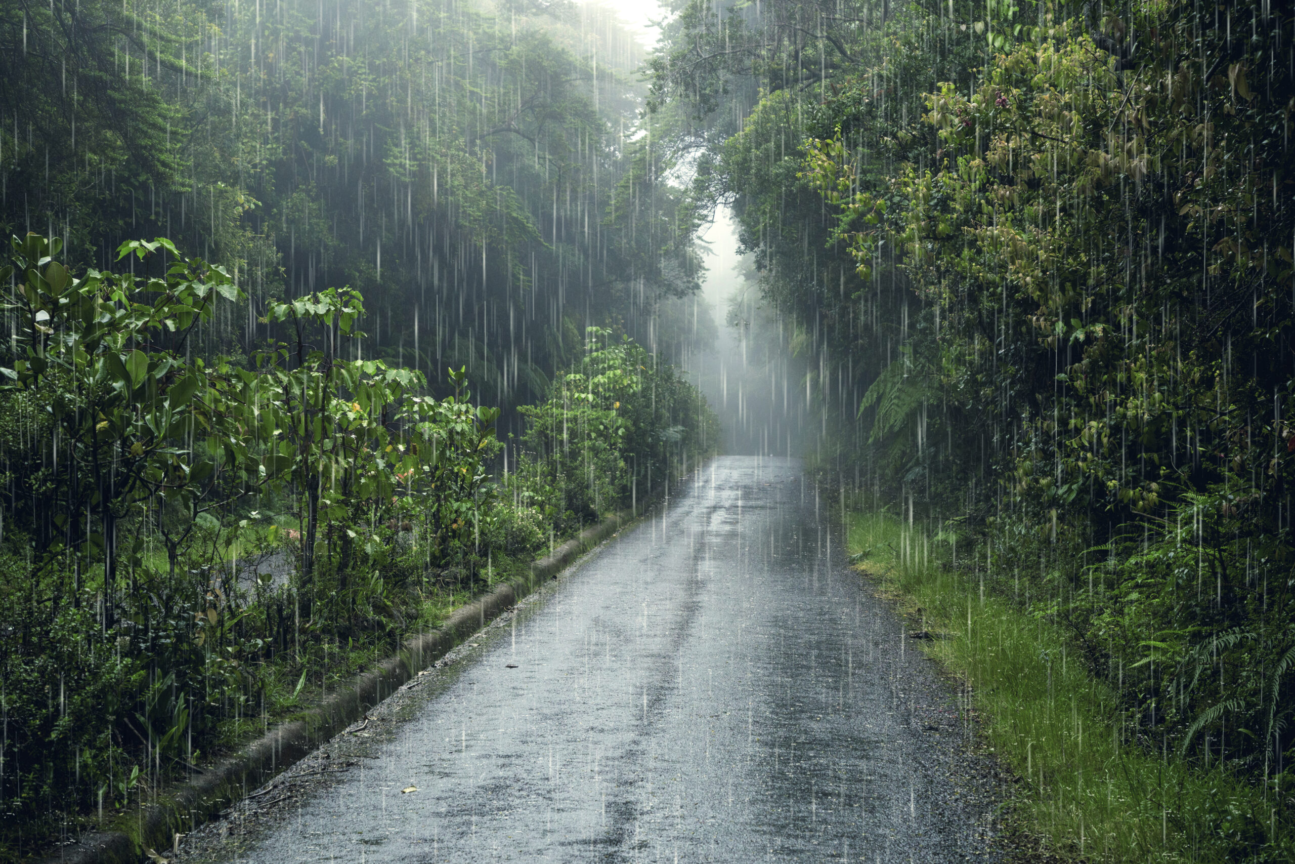 weather effects composition scaled